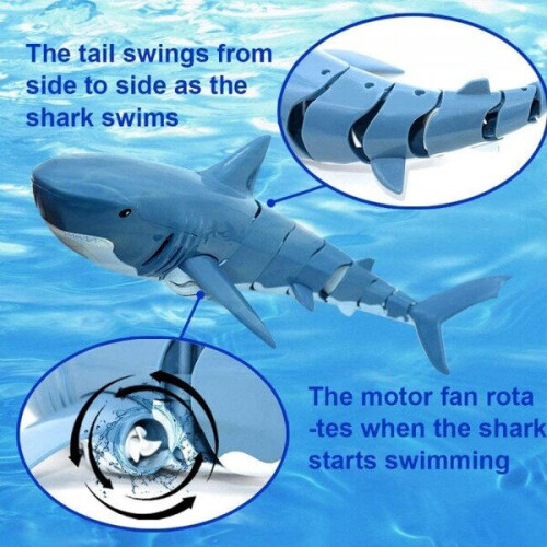 Robot shark swimming in water 1