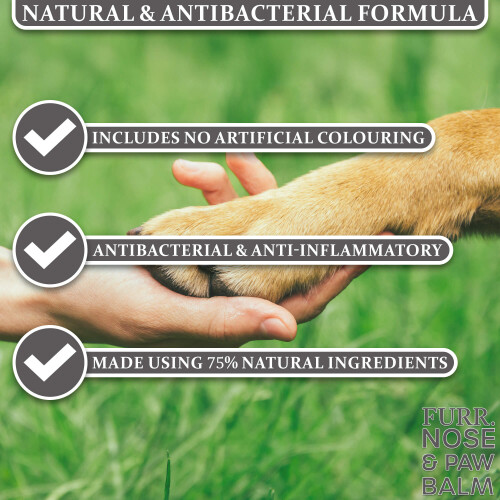 FURR Nose and Paw Balm 50g 1