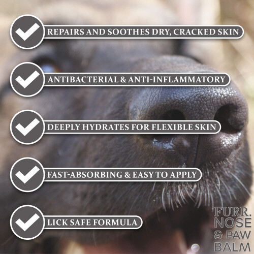 FURR Nose and Paw Balm 50g 2