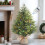 2ft Prelit Mini Tree with LED Lights, Remote & Timer, Compatible with Xmas Tabletop Decor, Home, Kitchen, Dining 1