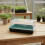 38cm Seed Propagator Set Seed Gravel Tray Cover 1