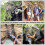 4 Pack Mosquito Head Net for Hiking Camping with Breathable Bug Mesh Face Protection Gray 5
