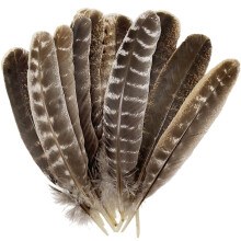 NANAHuang 5pcs Natural Turkey Feathers 10-12 inch Wild Spotted for Craft, Wedding Decor, Headdress, Clothing Accessories