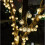 Solar String with Balls 12m_qq 2