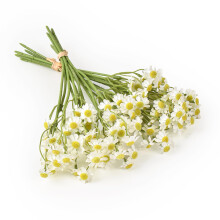 Hanycon2Bundles Bouquet di piccoli fiori di margherita artificiali in seta, minuscoli fiori di margherita per la decorazione di casa, giardino e vaso