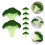 Fette di broccoli artificiali Eease - 8 pezzi, decorazione realistica 4