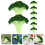 Fette di broccoli artificiali Eease - 8 pezzi, decorazione realistica 3
