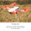 Έλικες χαμηλού θορύβου 4726F, συμβατές με DJI MINI SE/1/2/MAVIC MINI, αντικατάσταση προπέλας drone 5