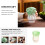 Chinese Cabbage Shape Tea Jar Airtight Ceramic Storage for Dry Tea Reusable 4