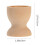 20 τεμάχια ράφι επίδειξης πασχαλινό αυγό δίσκος κυπέλλου εργαλεία παιχνίδια 5