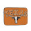 Capa para Notebook Texas Longhorns, Capa Protetora Antichoque com Bolso para Acessórios, Capa para Transporte Tipo Pasta, 10 12 13 15 17 Polegadas, 1