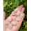Rose Quartz Tumbled Stone, 0.7-0.85" Tumbled Rose Quartz 8