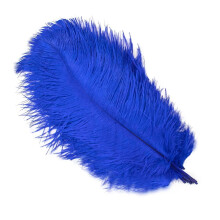 Natürliche Straußenfedern, 30–35 cm, Königsblau (12–14 Zoll), 10 Stück/Beutel, für Hochzeiten, Tischdekoration, Karneval und DIY-Federn