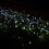 100LED soldrevne havelyskæder hvide 2