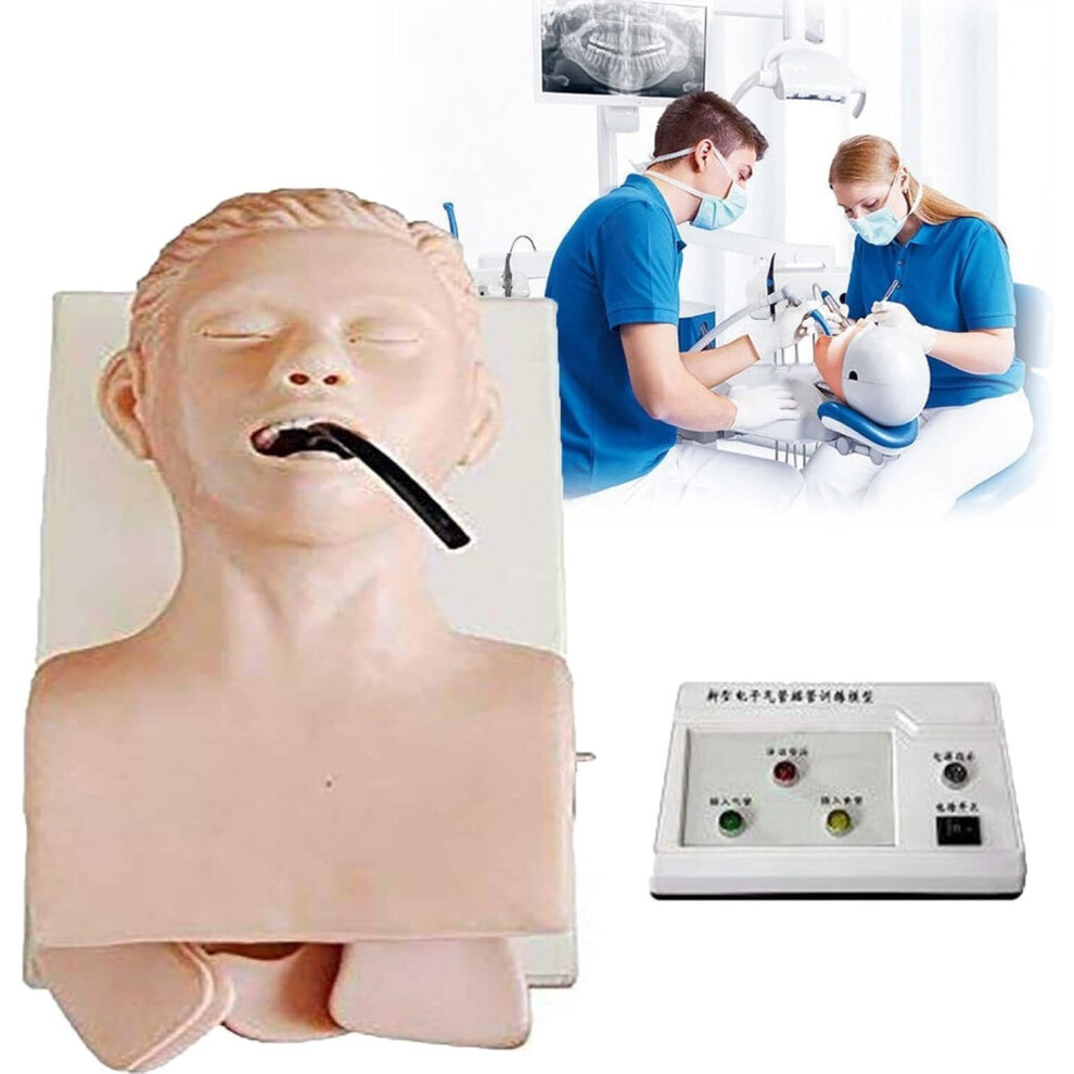 Airway Management Trainer with Electronic Feedback, Realistic Nasal Oral Intubation Mannequin 110220V