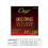 CAYE BW Series 4/5/6 pcs Bass Strings Guitar string replacement 4