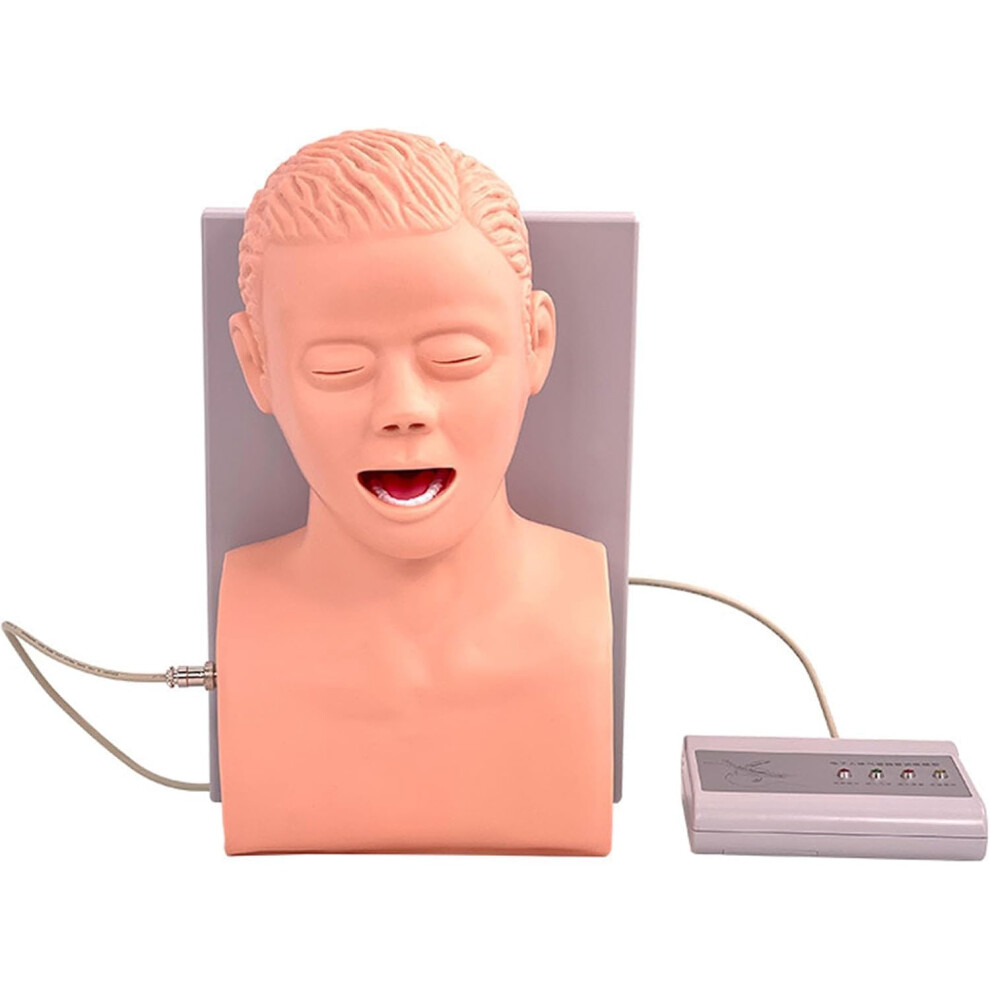 Intubation Training Manikin with Electronic Feedback and Realistic Airway Simulation for Adult Oral Nasal Practice