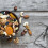 All Nuts Cracker, Stainless Steel Heavy Duty Nut Cracker for Your Cooking and Snacking Needs 6
