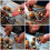All Nuts Cracker, Stainless Steel Heavy Duty Nut Cracker for Your Cooking and Snacking Needs 5