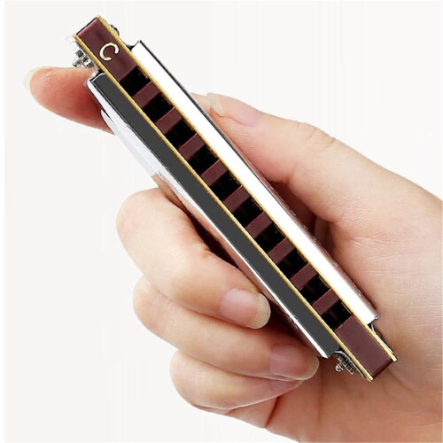 10 Hole Blues Harmonica in C Key with Case, Easy Note Bending, Rich Full Tone for Beginners 2