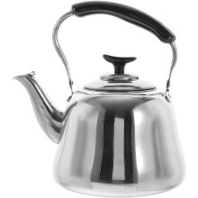 Bouilloire à sifflet en acier inoxydable Guangmc pour cuisinière à gaz