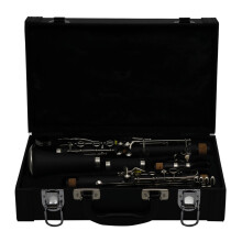 Clarinet 17 Keys with Case, Rich Tone, Smooth Key Response for Beginner and Student