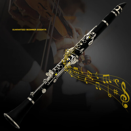 Clarinet 17 Keys with Case, Rich Tone, Smooth Key Response for Beginner and Student 1