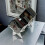 CD Holder Stand - Clear Display Rack for CDs and DVDs 5