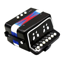 17 Key 2 Bass Kids Accordion with DualSided Buttons, Easy Learning Design, Valentines Day Gift