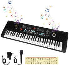 61 Key Electronic Keyboard Piano with Dual Speakers and Microphone, Recording Playback, Black