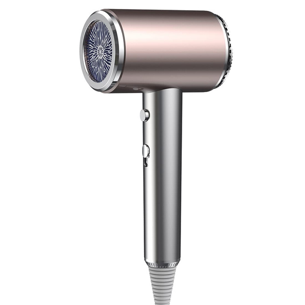 Ionic Hair Dryer with Concentrator, Fast Drying and Frizz Control, Lightweight for Travel Silver
