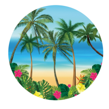 Tela de fondo para fiesta en la playa, estilo skate hawaiano, de 100 cm de diámetro, A