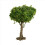 13cm Fine Scale Green Model Tree Wire Trunk Simulation Tree for Mountain Scenery Train Railway Layout 3