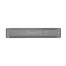 24-gaats mondharmonica in C-toonaard voor beginners, kinderinstrument voor optredens