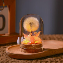 Dandelion Glass Dome Night Light with Dried Flower Bouquet for Valentine's Day Gift in Pink