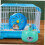 Brooder Heater for Chicks and Small Pets with Consistent Heat Supply and Durable FarmGrade Build 5