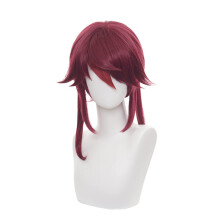 Anime Cosplay Wig Heat Resistant Synthetic Hair Natural Hairline for Genshin Impact Halloween