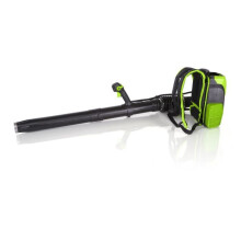 GREENWORKS Souffleur à dos électrique GD60BPBK4 - 60 V - 1 batterie 4 Ah + 1 chargeur - Vert