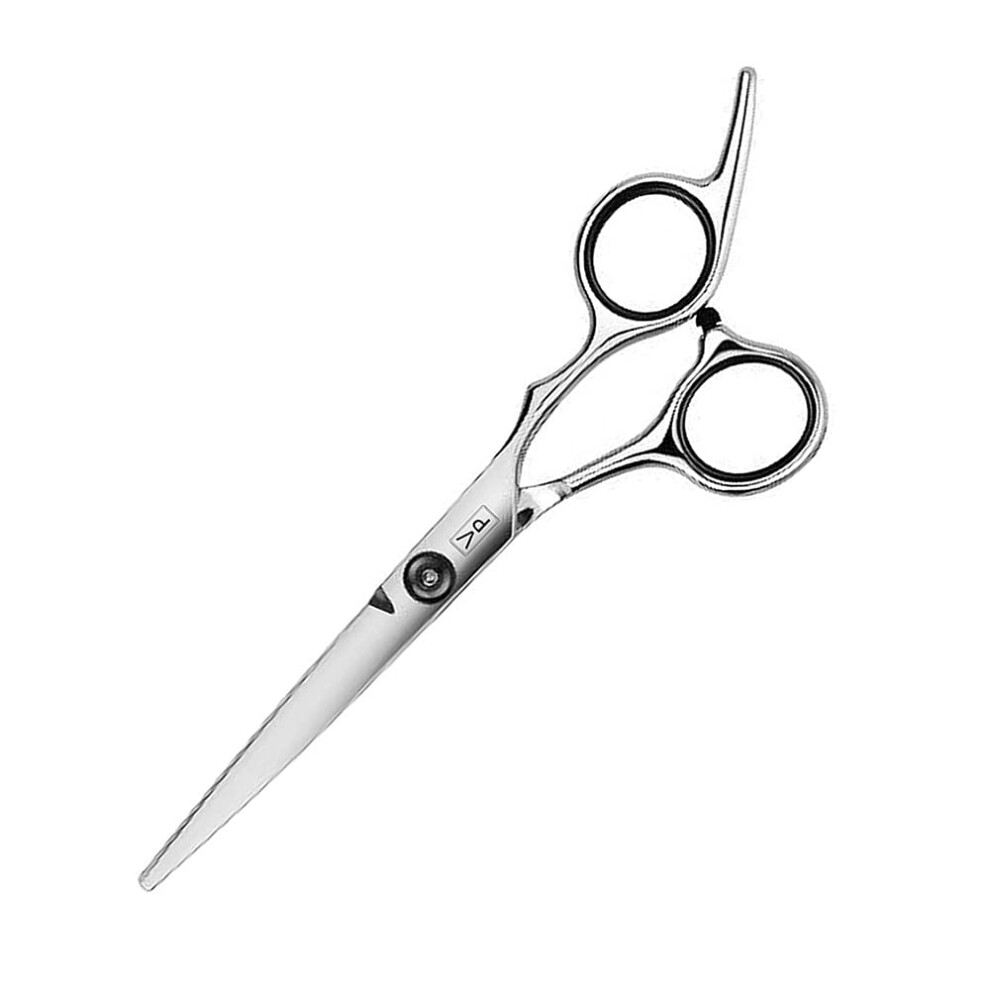 Hair Cutting Scissors 6 Inch Japanese Stainless Steel with Precision Blades and Ergonomic Handle Ref: 9867