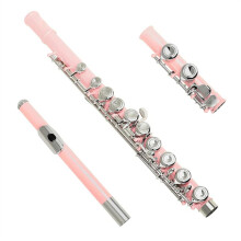 Professional C Key Flute 16 Hole Closed Hole Pink Flute for Beginners and Performers with Accessories