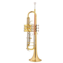 Bb Trumpet with Fast Valve Response, Warm Balanced Tone, Durable Alloy Parts for Beginner Upgrade