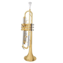 Bb Trumpet for Beginners and Adults, Durable Brass with Warm Balanced Tone and Corrosion Resistant Valves