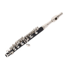 C Piccolo Flute for Beginners with Plated Keys, Clear Tone and Durable Metal for School Band