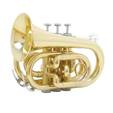 Bb Pocket Trumpet Gold Brass Mini Trumpet Set with Case Strap Gloves Cleaning Kit for Beginners