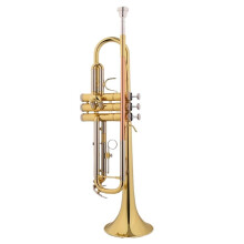 Professional B Flat Trumpet for Beginners and Adults with Clear Bright Tone and Durable Stainless Pistons