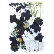 30pcs Black and White Dried Pressed Flowers for Crafts Resin Jewelry Scrapbooking Cards