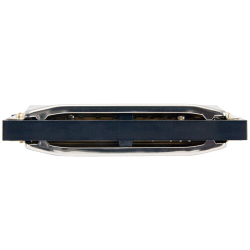Bb Key Diatonic Harmonica 10 Hole Brass Reed Warm Clear Tone Beginner Harp with Case 2