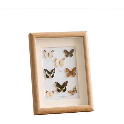 Natural Wood Shadow Box Frame with Glass Front for Butterfly Display, Light Oak Wall Mount 2