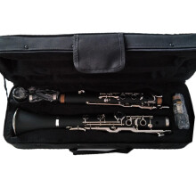 Student Clarinet with Durable Bakelite Body and Nickel Plated Keys, 20Key Beginner Model