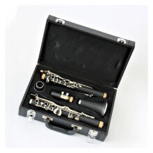Beginner Clarinet for Students with Pure Rich Tone, Durable Keywork and Professional Polished Finish, Black